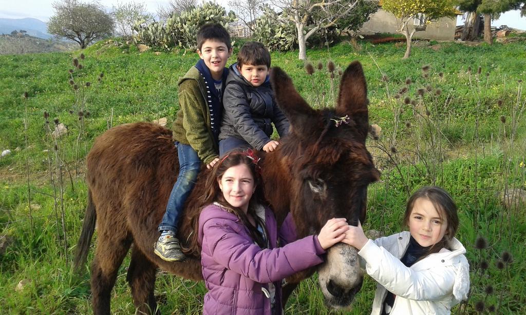 Agriturismo Feudo Muxarello Aragona Eksteriør bilde